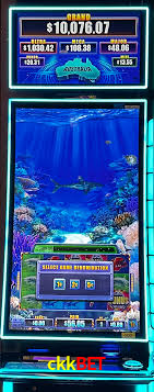 Live Casino ckkbet